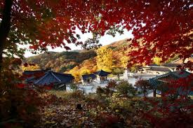 10월 서울근교 가볼만한 곳 베스트