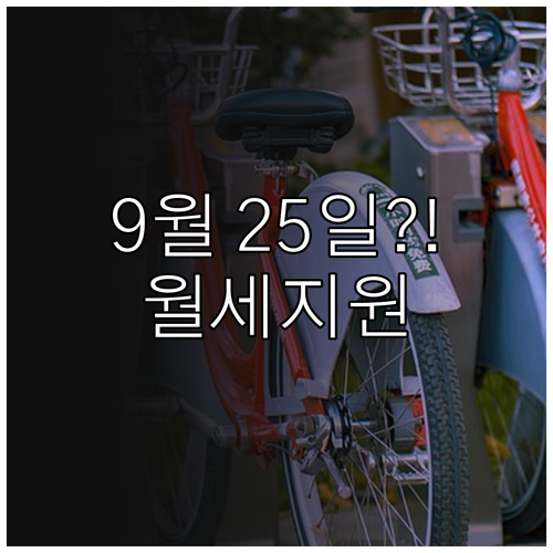 남양주시 청년월세 지원금 지급일 9월..