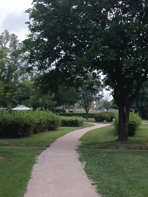 식후 혈당 낮추는 방법으로 적합한 초록 잔디와 나무 그늘이 어우러진 구불구불한 산책로