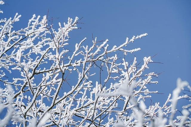 장례 위로예배 기도문