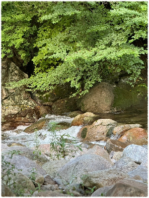 중대리계곡