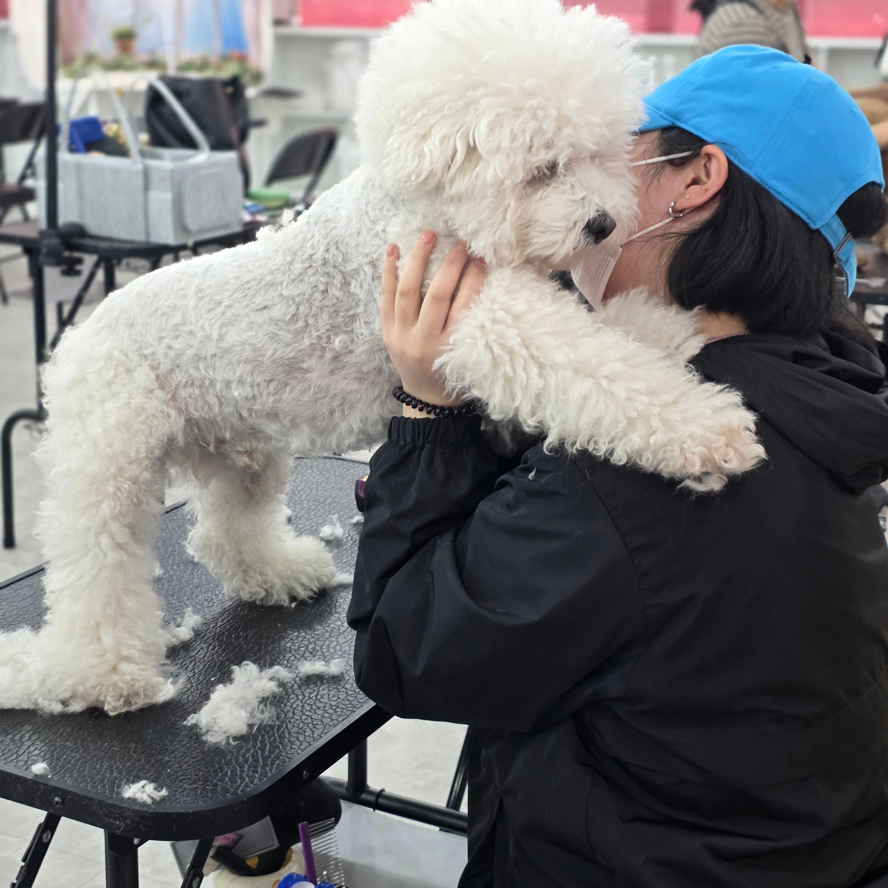 진주애견미용학원