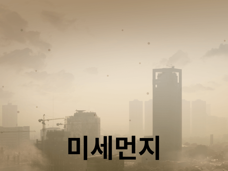 대기질 개선을 위한 정부의 정책 제안과 시민들의 참여가 요구된다.