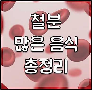철분 음식 1