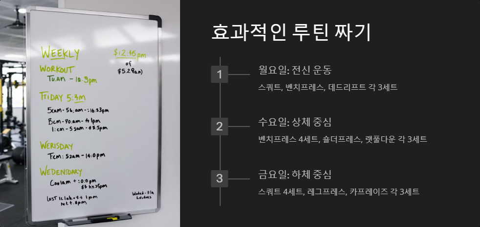 헬스 초보자를 위한 기초 운동, 효과적인 루틴 정리