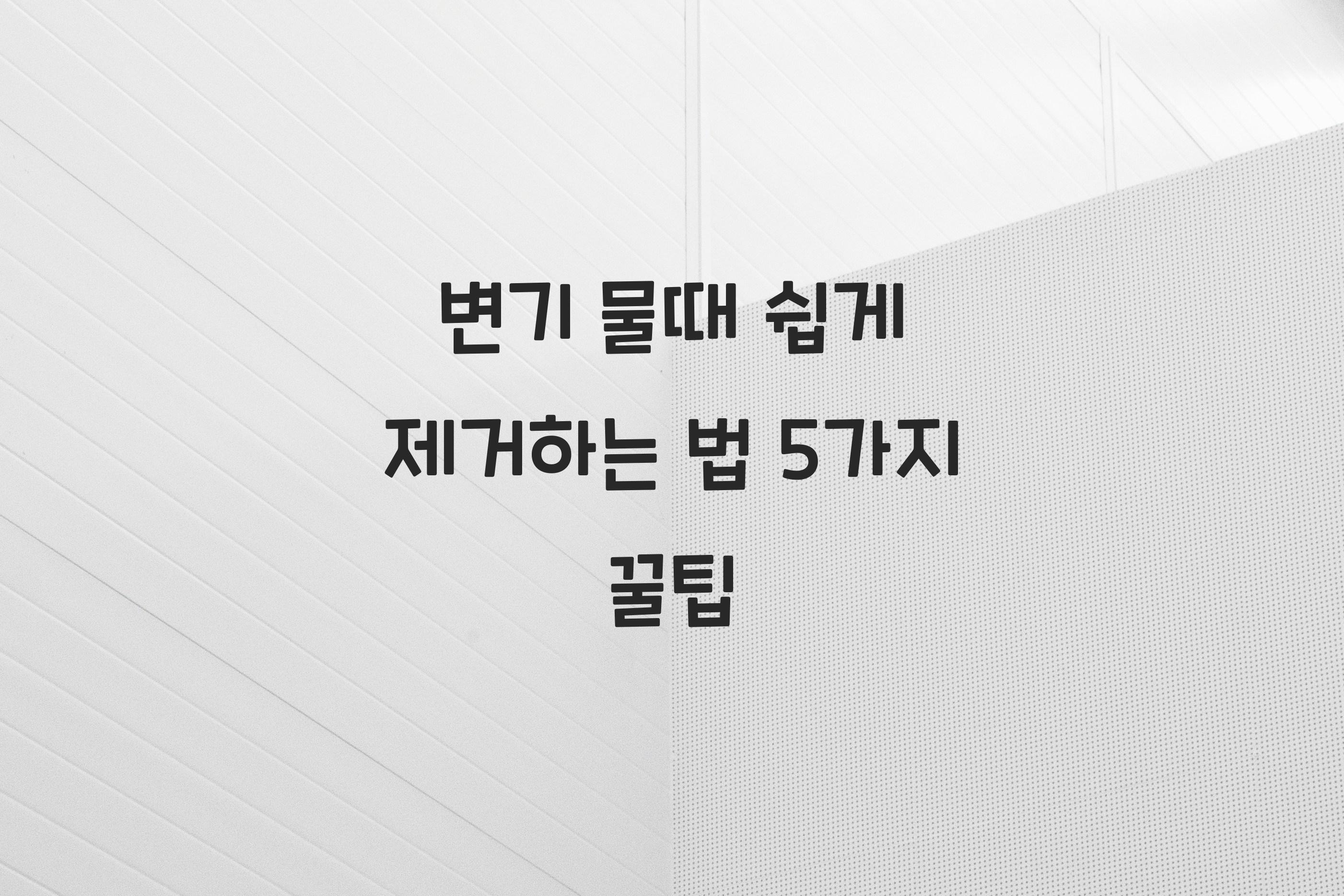 변기 물때 쉽게 제거하는 법