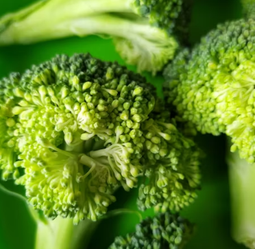 당뇨 식단 레시피 좋은 나쁜 음식