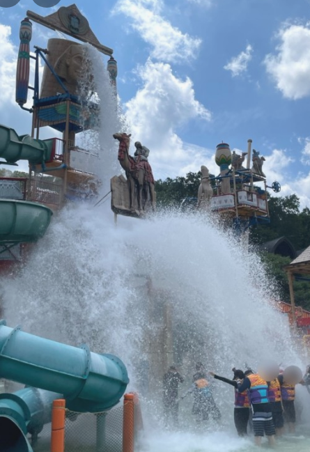 비발디파크 오션월드 운영시간