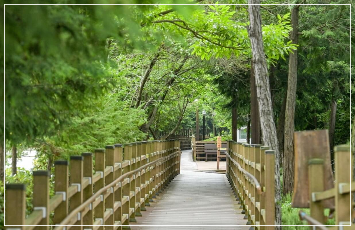 장흥 가볼만한곳 베스트10 정남진 편백숲 우드랜드