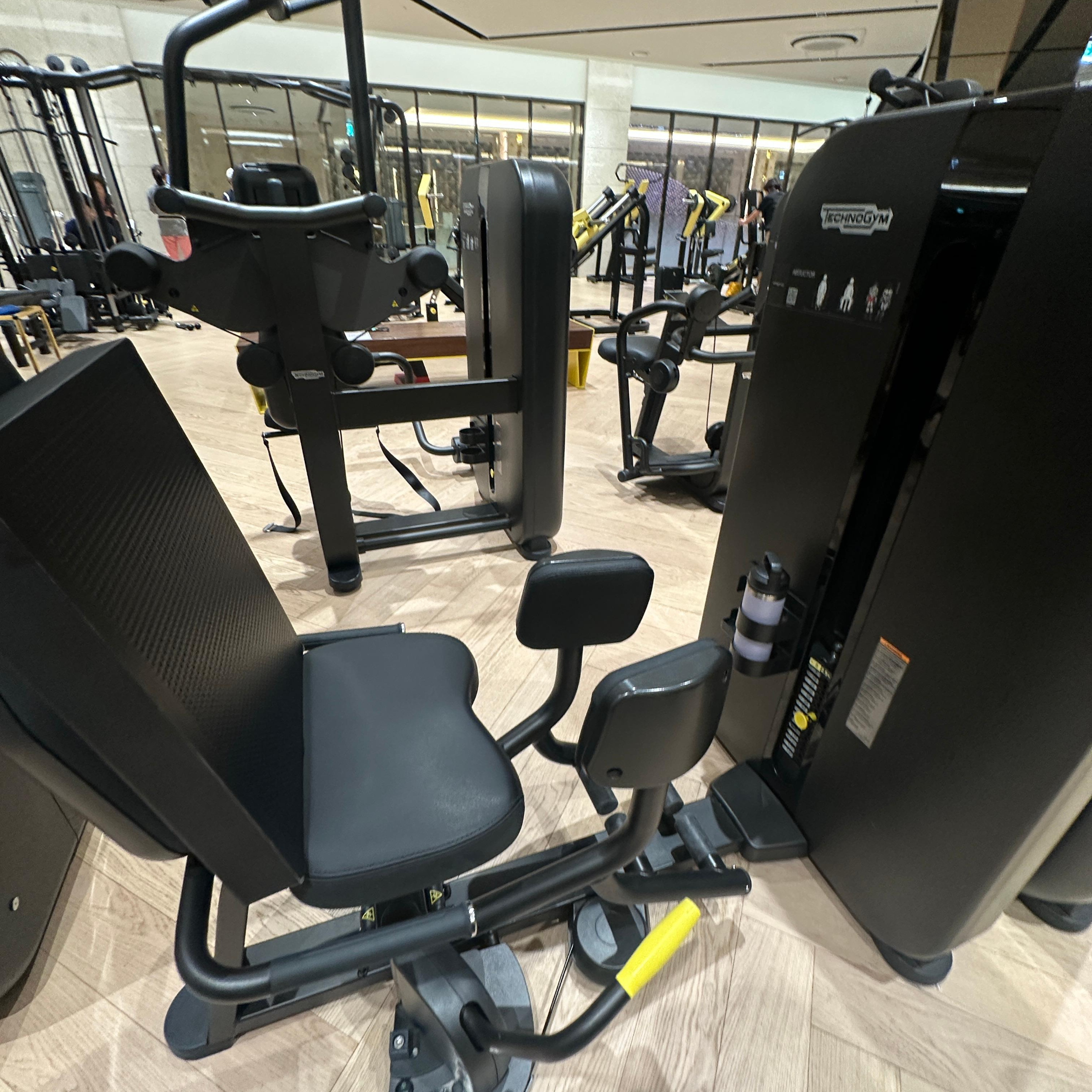 힙딥과 셀룰라이트