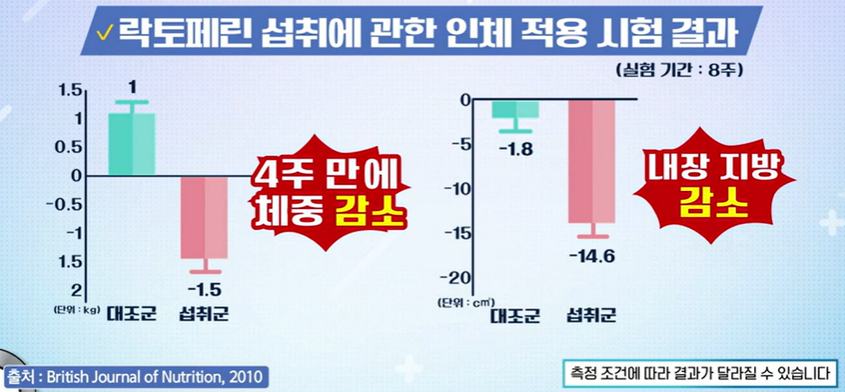 락토페린 효능