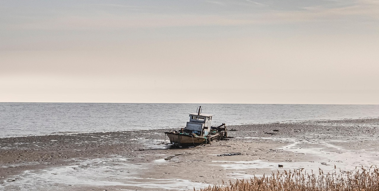 선박 해체 시장