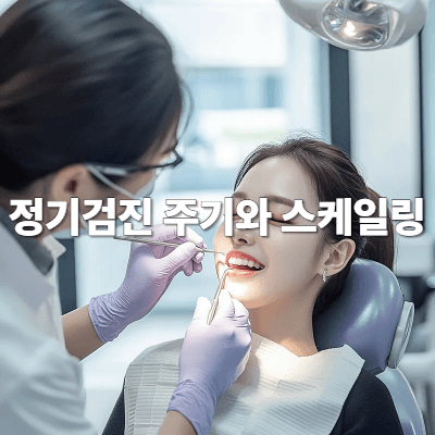 정기검진 주기와 스케일링