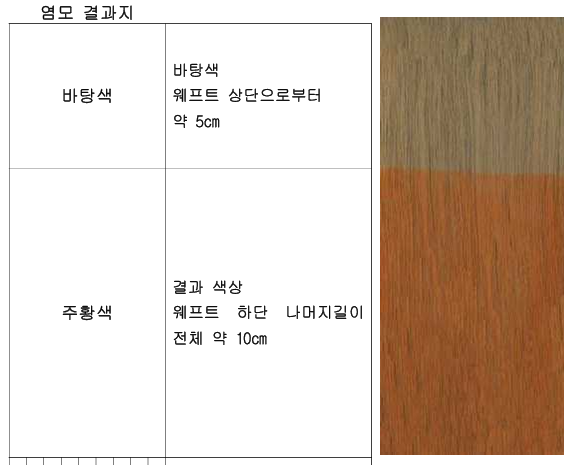 염색