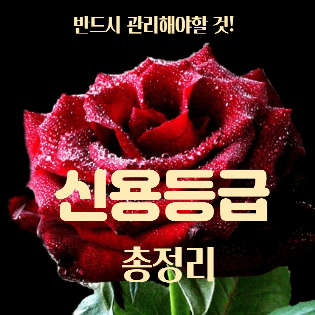 신용 등급 총정리 쉽게 확인하기