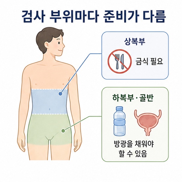 상복부 초음파는 금식이 필요하지만 하복부·골반 초음파는 방광을 채우기 위해 물을 마셔야 할 수 있다는 차이를 비교한 이미지
