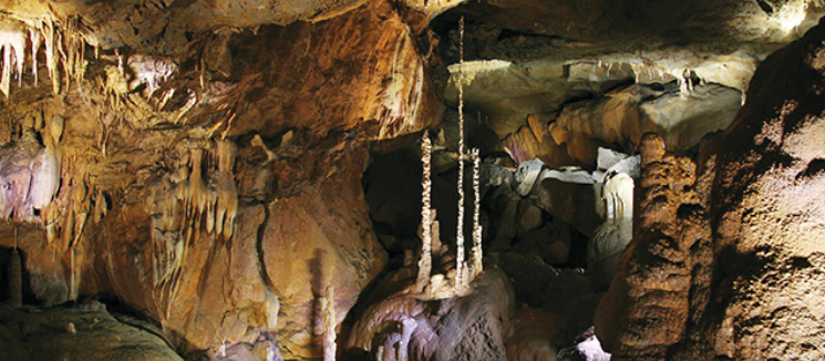 대금굴 예약 모노레일 주차장 정보5