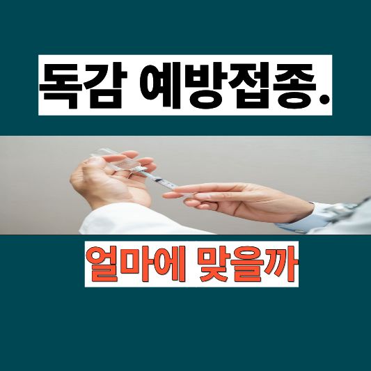 대구에서 독감예방접종, “얼마에 맞을까?” — 2025년 최신 가격 정리