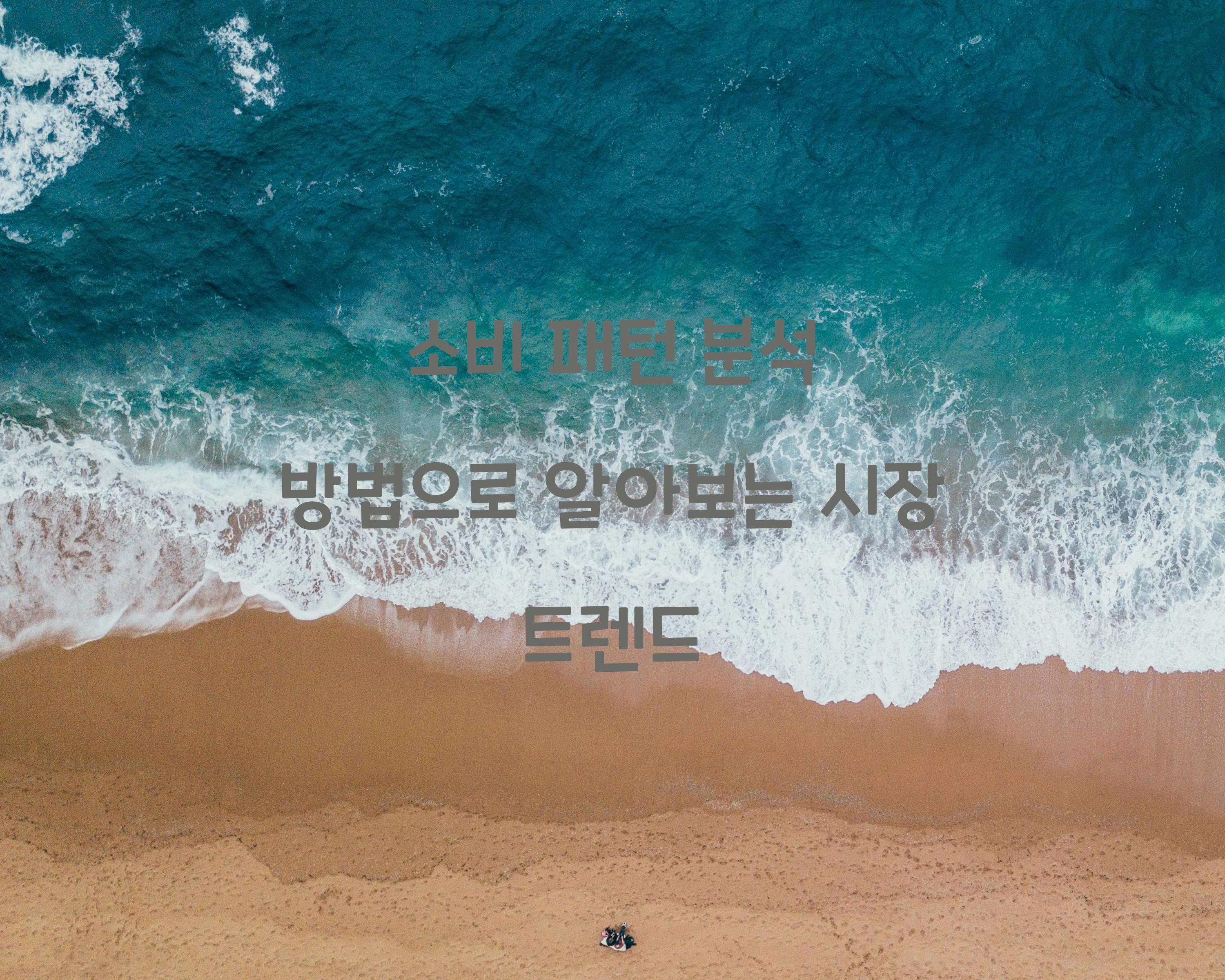 소비 패턴 분석 방법