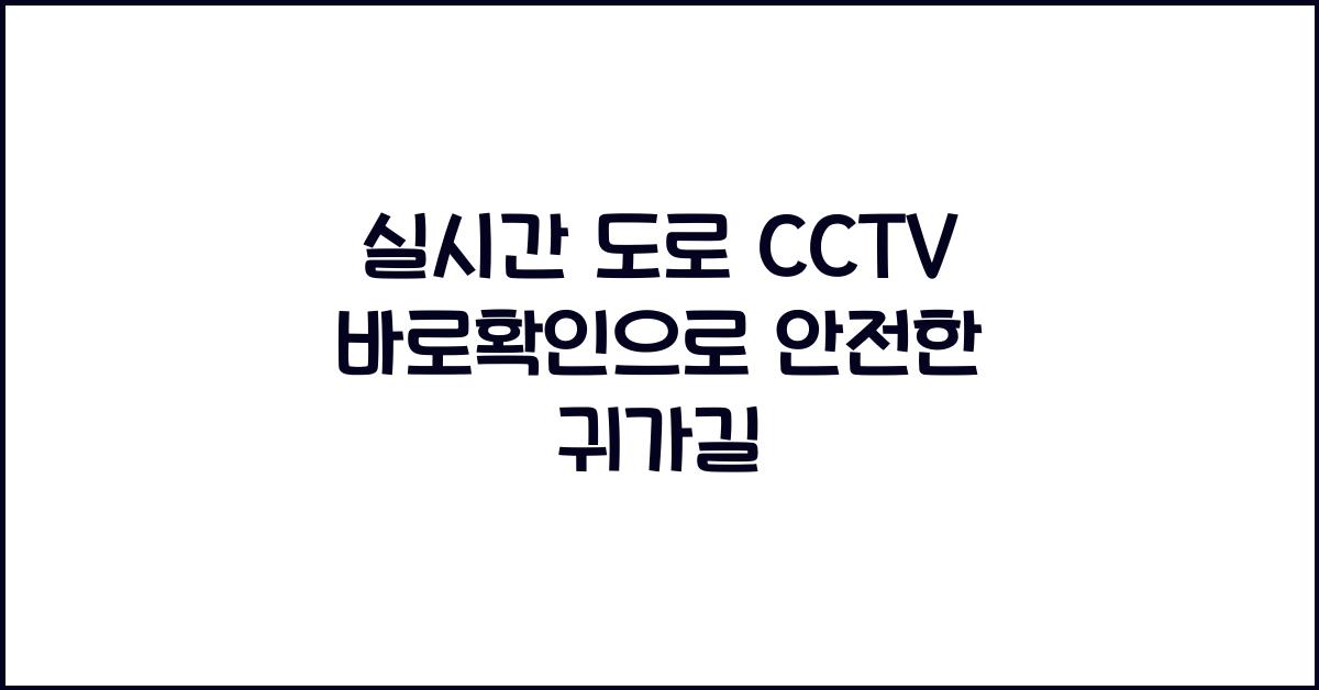 실시간 도로 cctv 바로확인