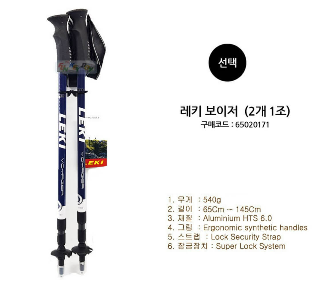 레키 보이저
