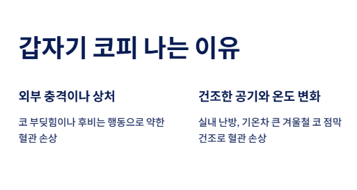 갑자기 코피 나는 이유
