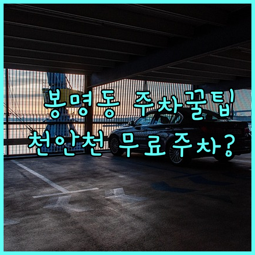 천안 봉명동 행정복지센터 및 천안천 ..