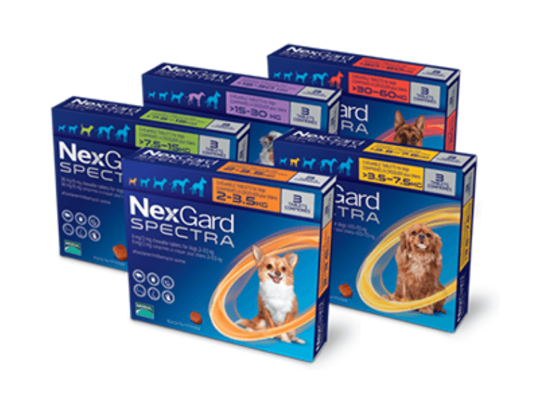 넥스가드스펙트라