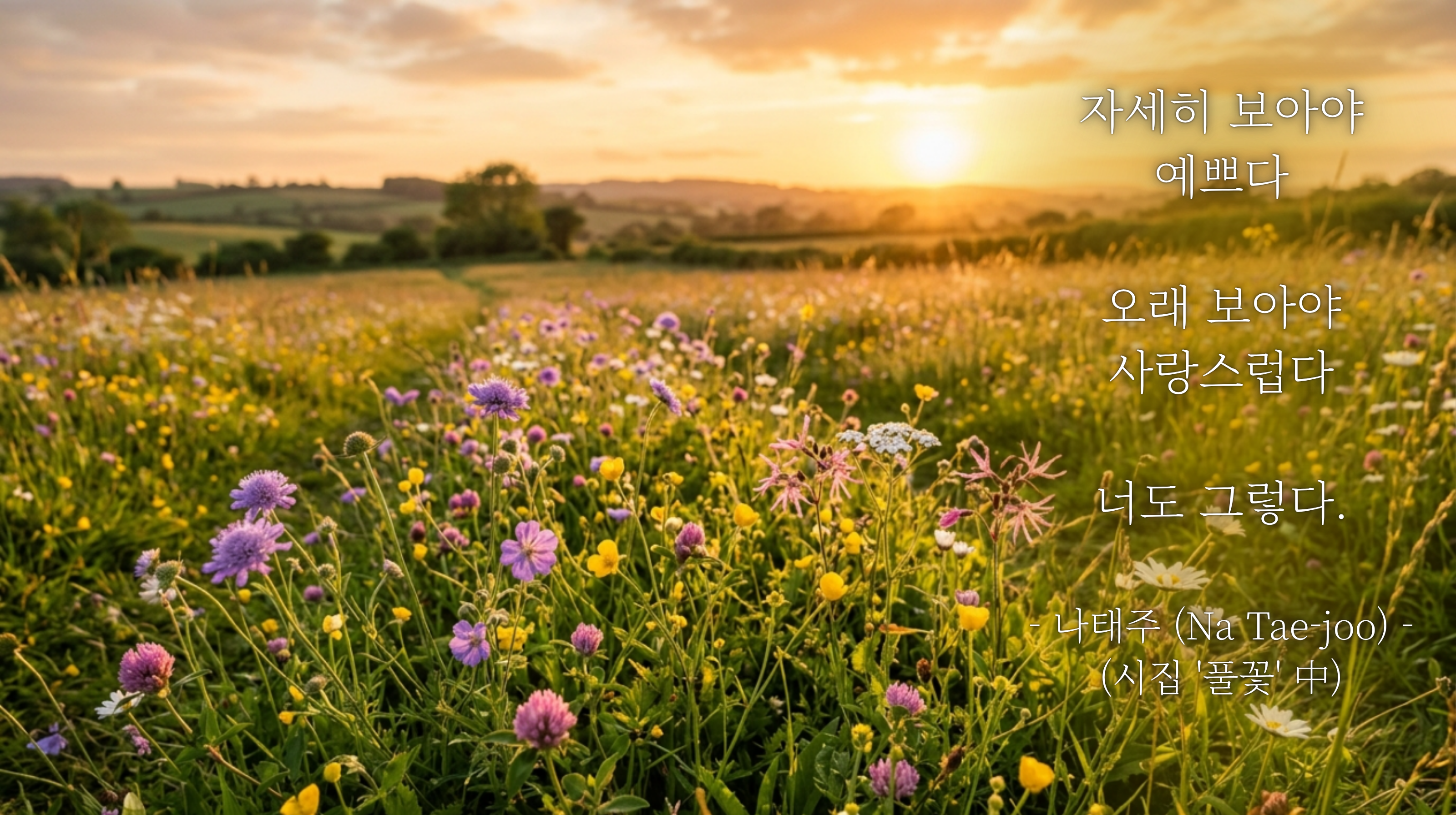 나태주 (Na Tae-joo): 나만 뒤처지는 것 같아 불안할 때