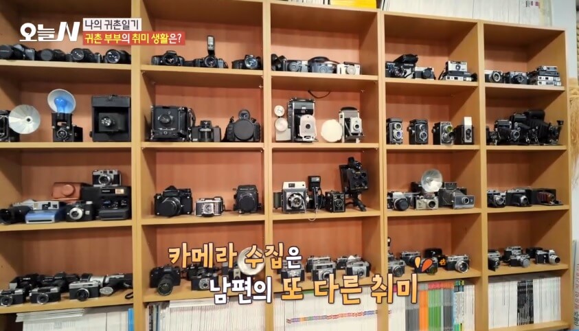 오늘N 나의 귀촌 일기 전남 담양군 대덕면 예쁜 정원 갤러리 카페 달빛여행 오늘N 2502회