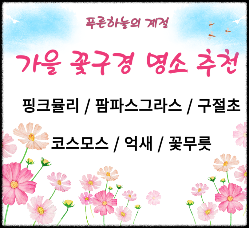 10월 국내 여행지 추천 2024 단풍 국내 여행지 추천 가을꽃 명소