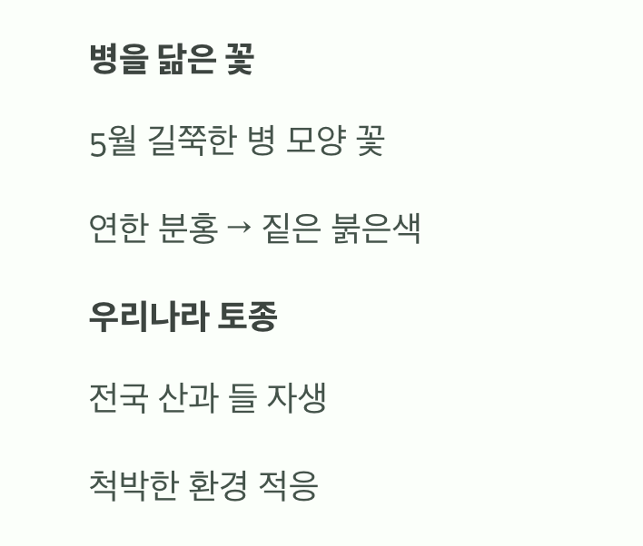 이름에 담긴 비밀, 병을 닮은 꽃