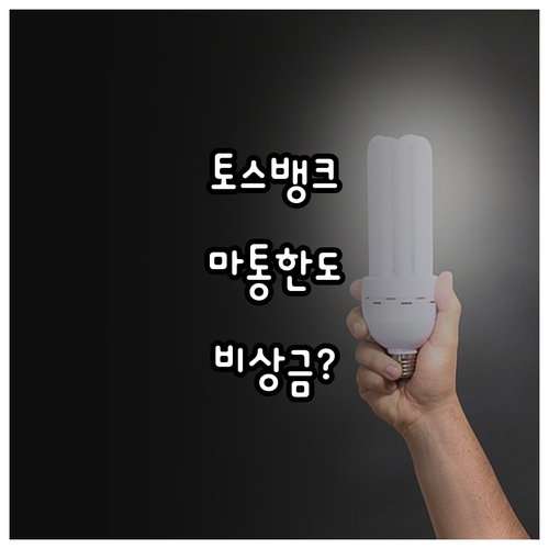 비상금 준비를 위한 토스뱅크 마이너스..