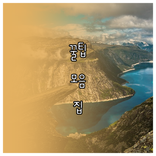 나만의 염색 성공기! 셀프 염색 완벽..