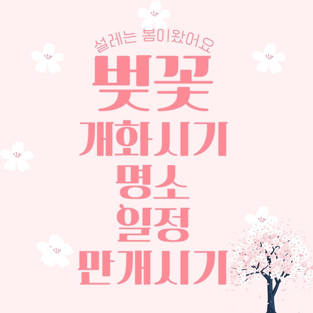 벚꽃-개화시기-명소-만개시기-일정