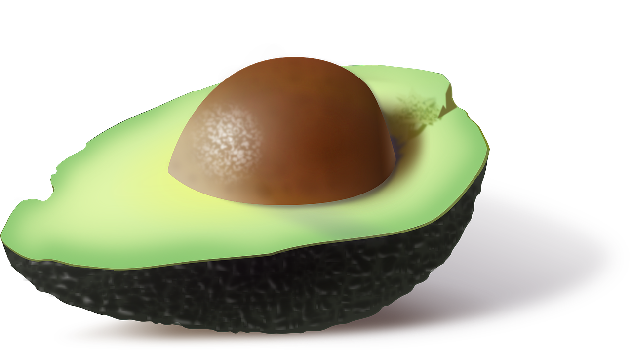 아보카도와 관련된 이미지