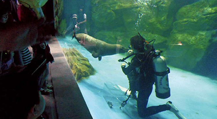 울진 아쿠아리움