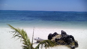 세부 여행 추천 세부 파라다이스 비치