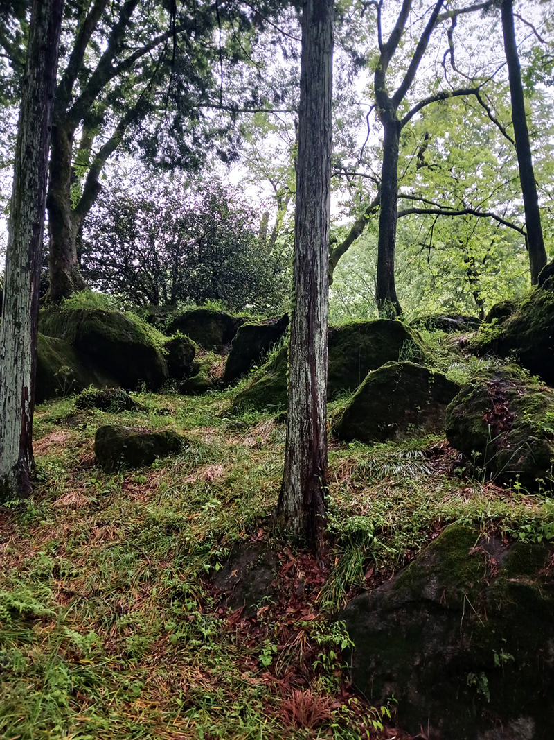 경남 쌍계사 템플스테이 신청 방법