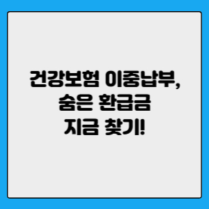 건강보험 이중납부 숨은 환급금 찾기!