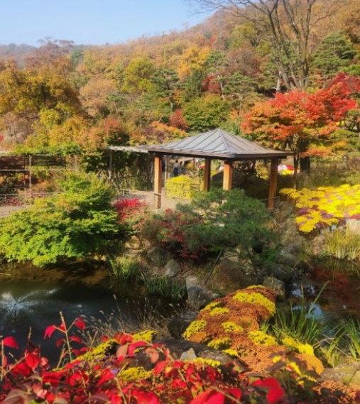 조용한수목원