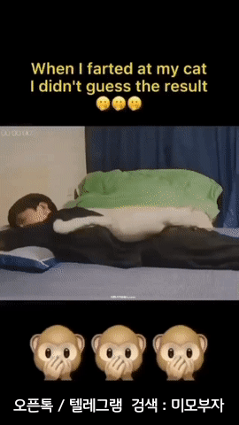 10월 26일 목 경제뉴스 신문스크랩