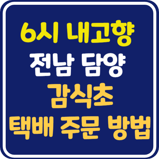 6시 내고향 담양 감식초 택배 주문 방법