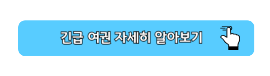 긴급 여권 준비물