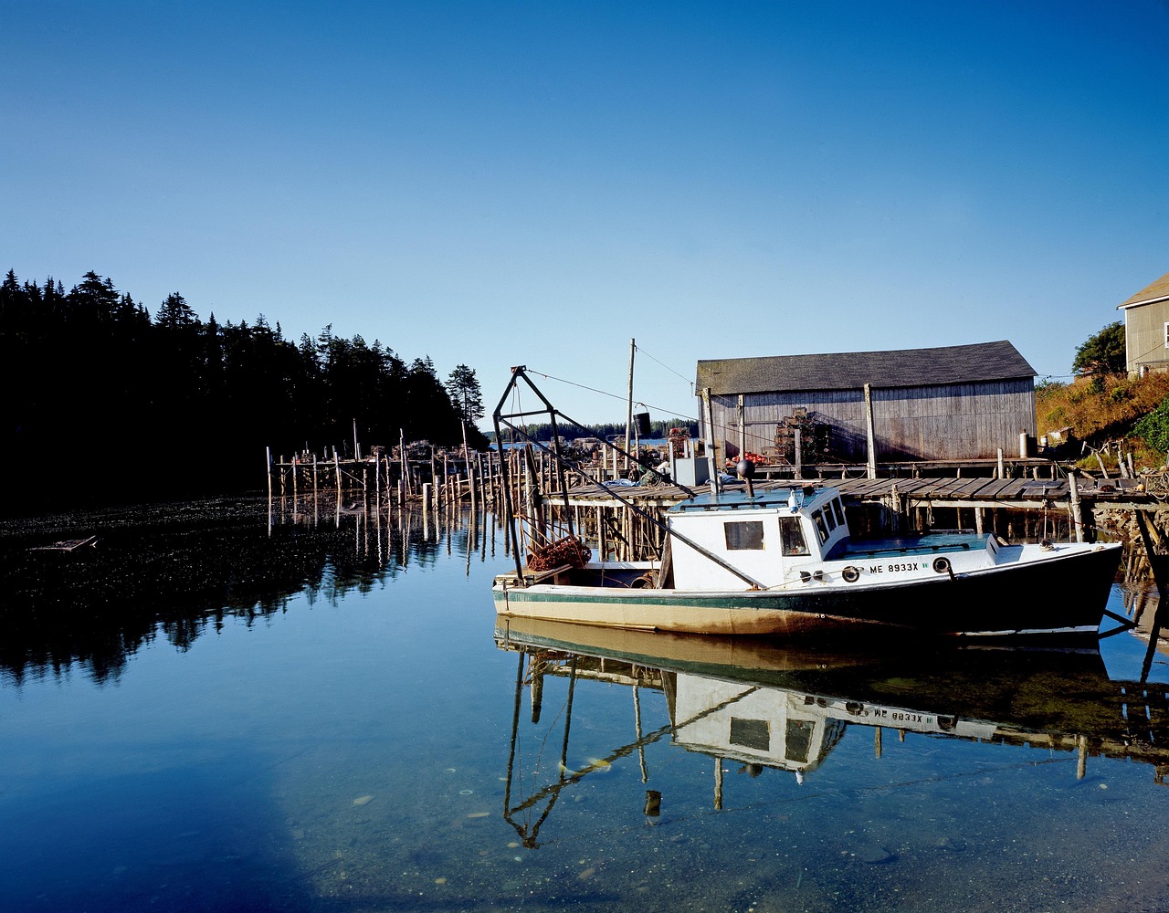 동남아 낚시 포인트 관련 사진