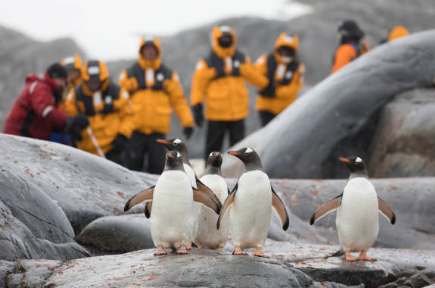 극지방에서의 인간 활동이 생태계에 미치는 영향
