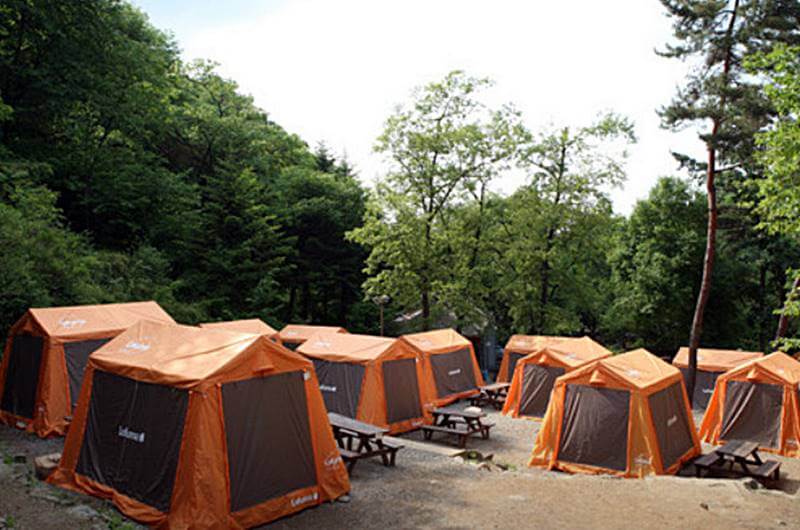 서울대공원-캠핑장-피크닉-명당의-모습