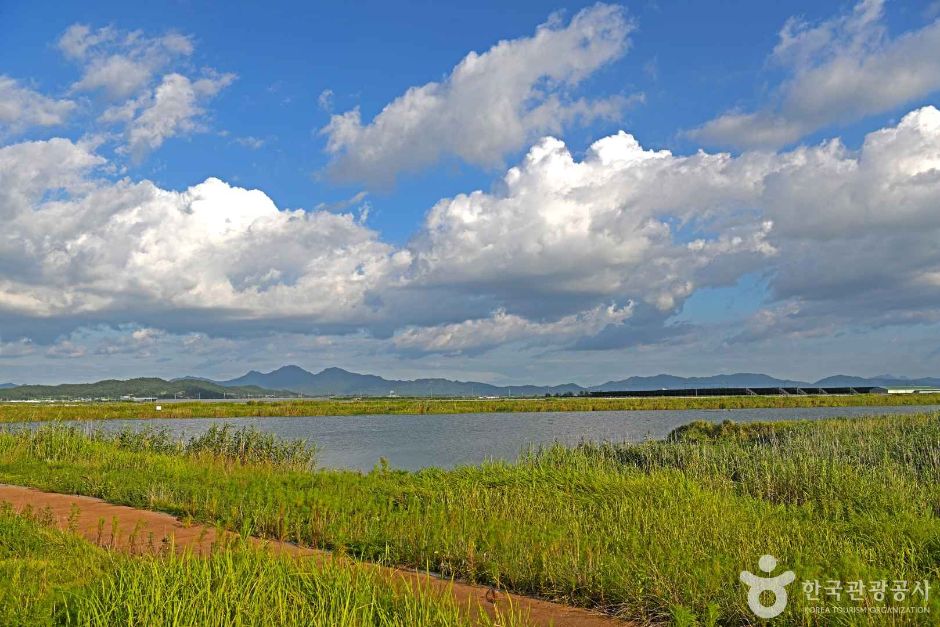 영암 가볼만한곳 베스트10