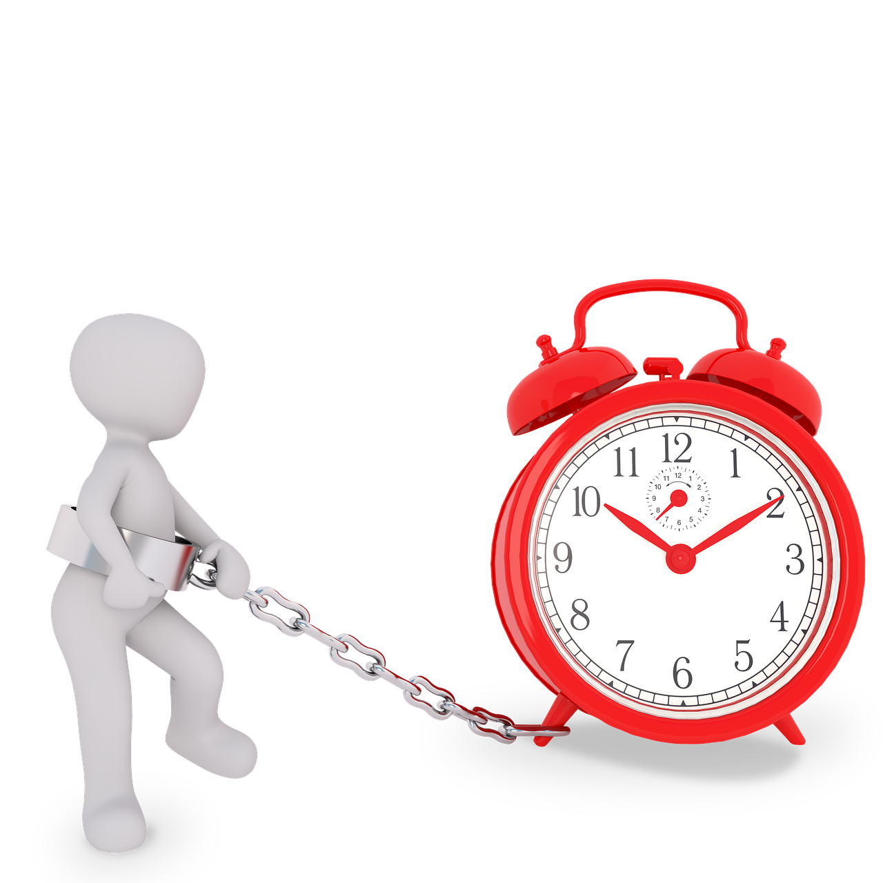 운동 vs 공부 vs 취미 관련 사진