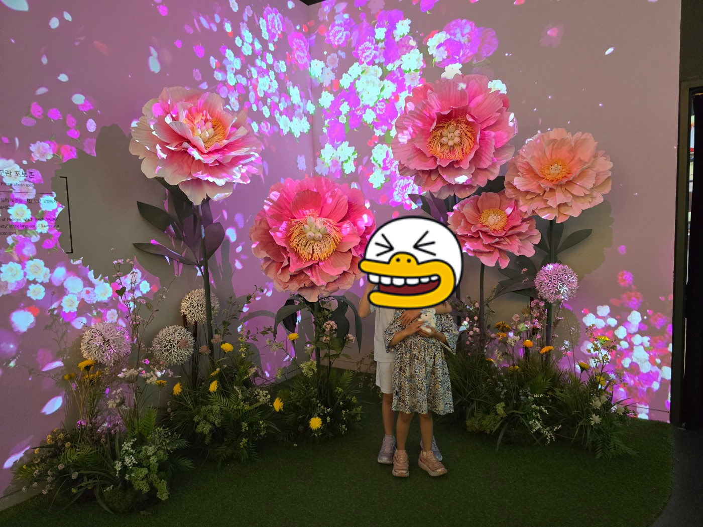 모란 꽃과 찍은 사진